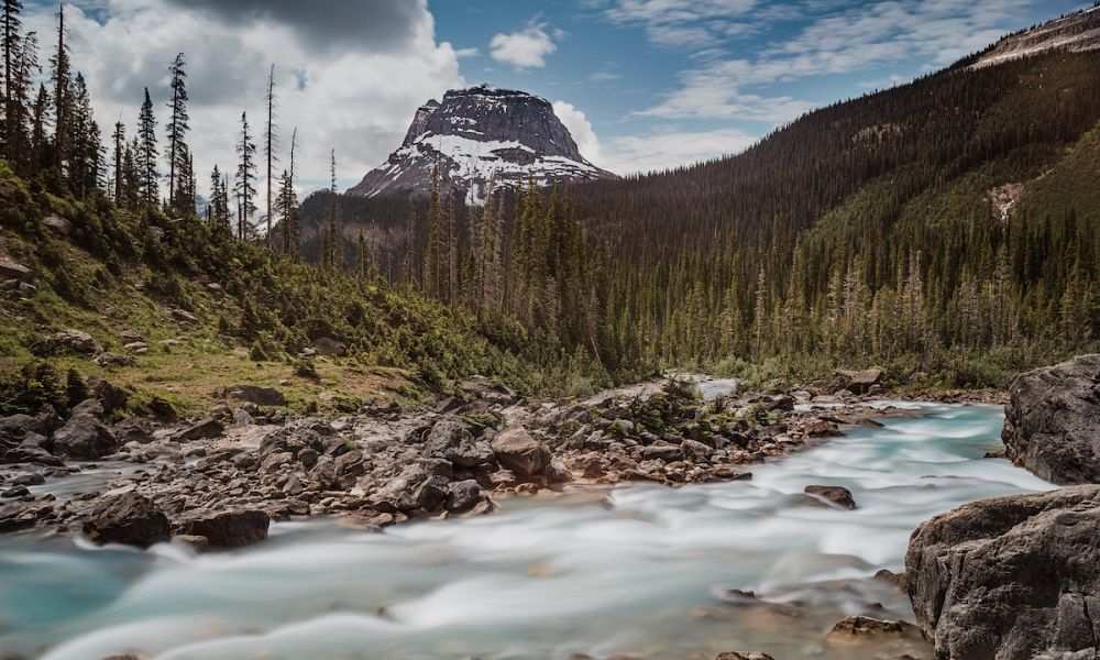 <strong>Top 5 experiences from living in</strong><span> the Shuswap</span>