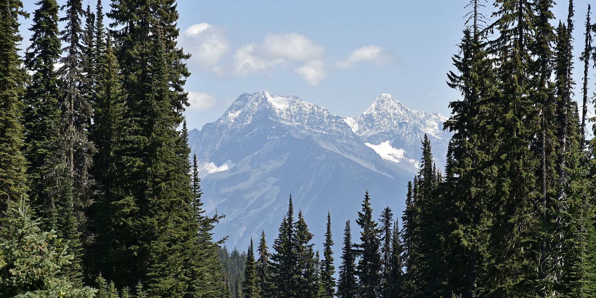 <strong>A primer guide to</strong> <span>Revelstoke</span>