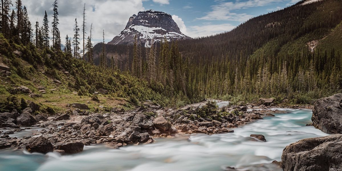 <strong>Top 5 experiences from living in</strong><span> the Shuswap</span>