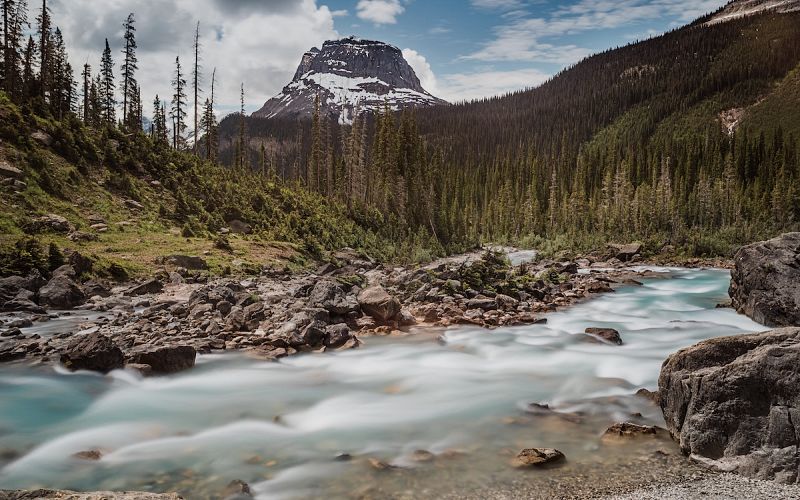 <strong>Top 5 experiences from living in</strong><span> the Shuswap</span>